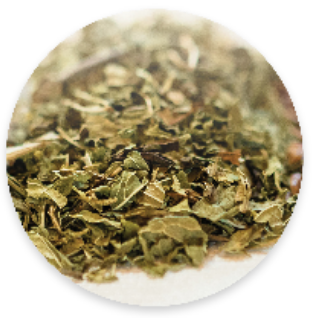Parker Mountain Comfort Wraps come in 4 signature scents: Unscented, Lavender, Spearmint, and Peppermint. Pictured is dried Mint leaves that are used within the product to alleviates symptoms of nausea or headaches.