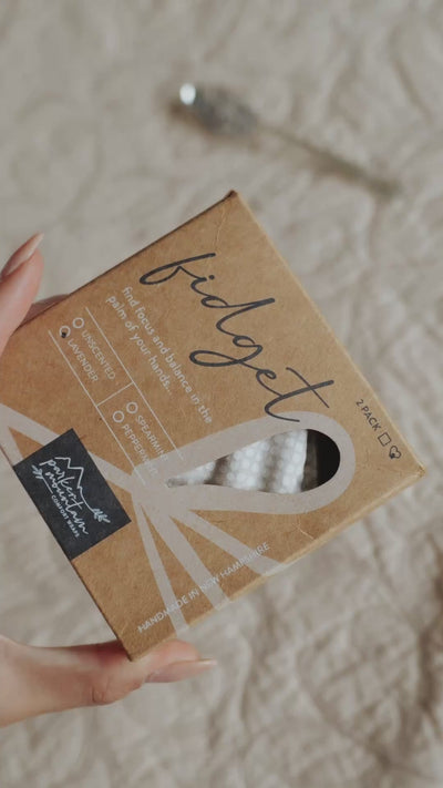 Fidgets | Two Pack | Find Focus in the Palm of your Hands